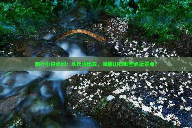 旅行小白必问：从长治出发，峨眉山有哪些必玩景点？