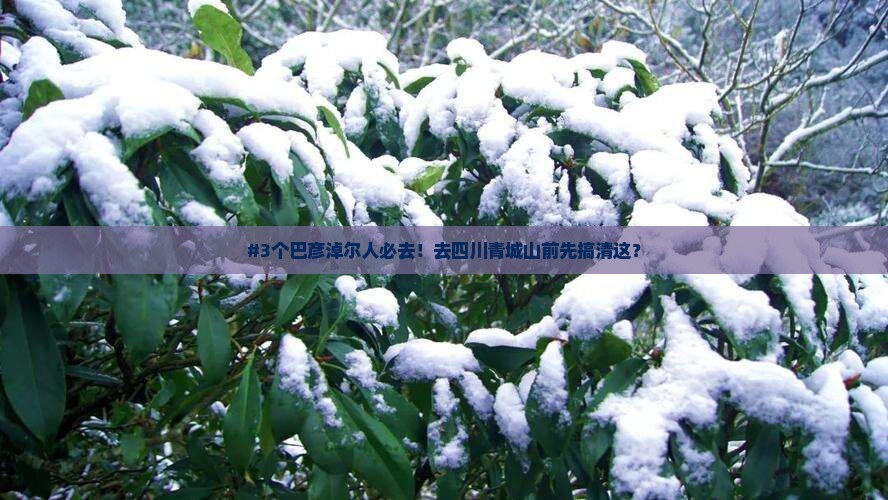 #3个巴彦淖尔人必去！去四川青城山前先搞清这？
