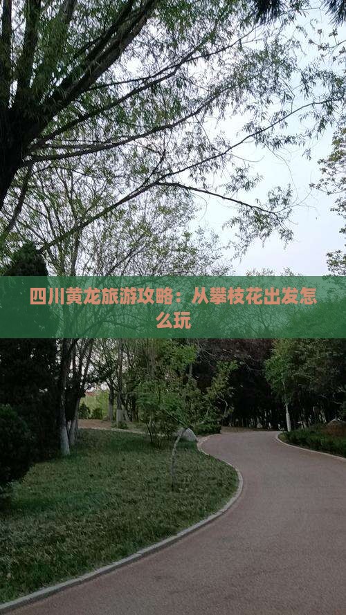 四川黄龙旅游攻略：从攀枝花出发怎么玩