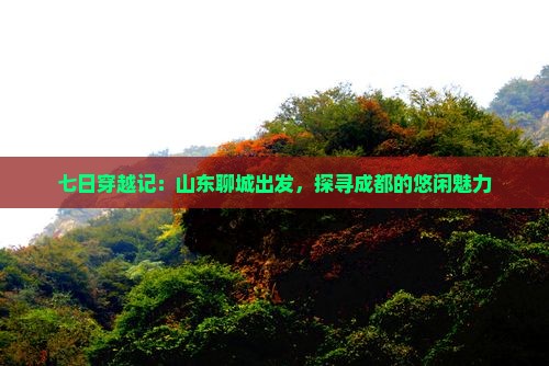 七日穿越记：山东聊城出发，探寻成都的悠闲魅力