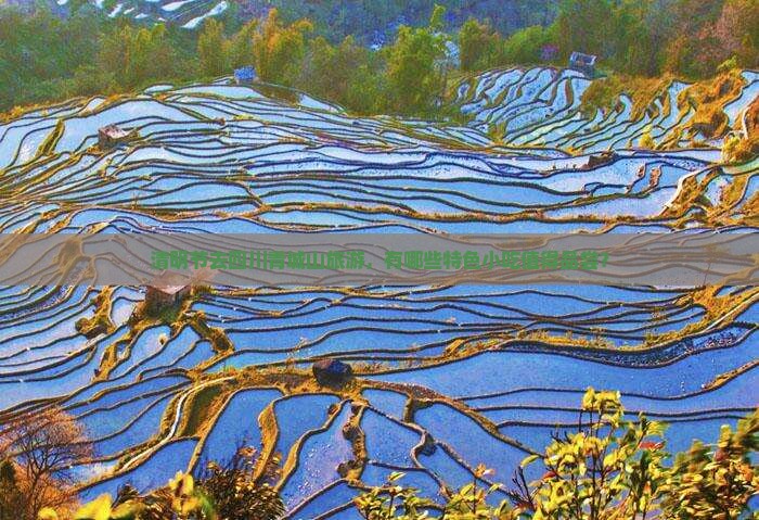 清明节去四川青城山旅游，有哪些特色小吃值得品尝？