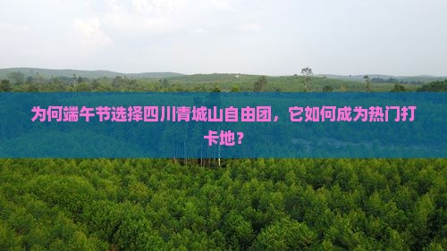 为何端午节选择四川青城山自由团，它如何成为热门打卡地？