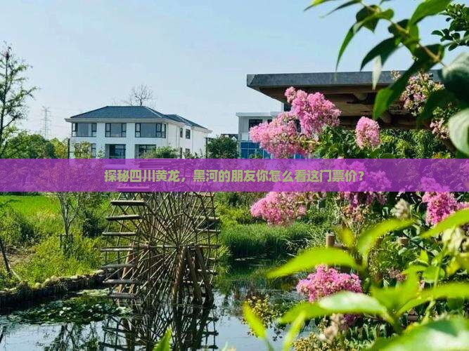 探秘四川黄龙，黑河的朋友你怎么看这门票价？