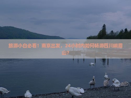 旅游小白必看！南京出发，24小时内如何畅游四川峨眉山？