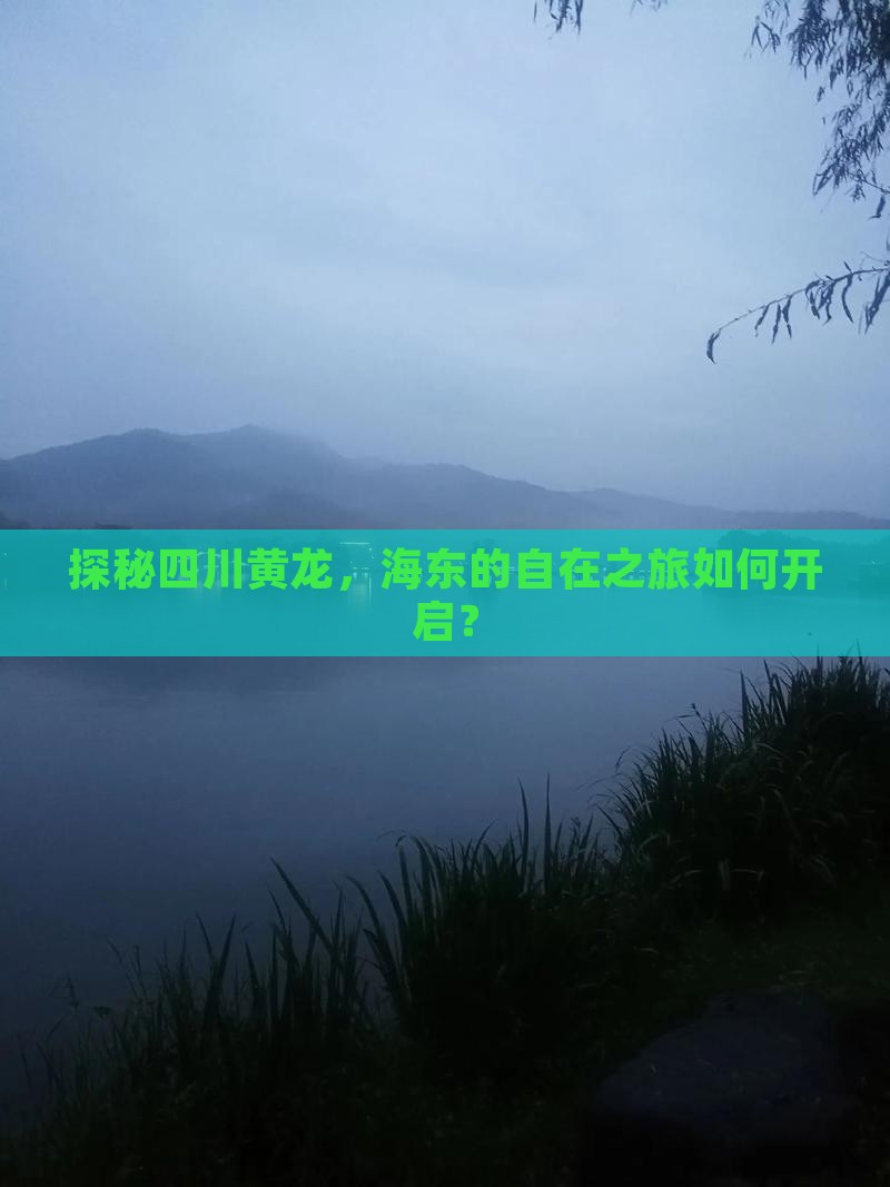 探秘四川黄龙，海东的自在之旅如何开启？
