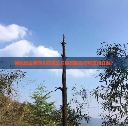 通化出发至四川黄龙五日游攻略及行程安排详解？