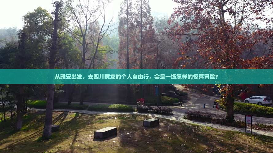从雅安出发，去四川黄龙的个人自由行，会是一场怎样的惊喜冒险？