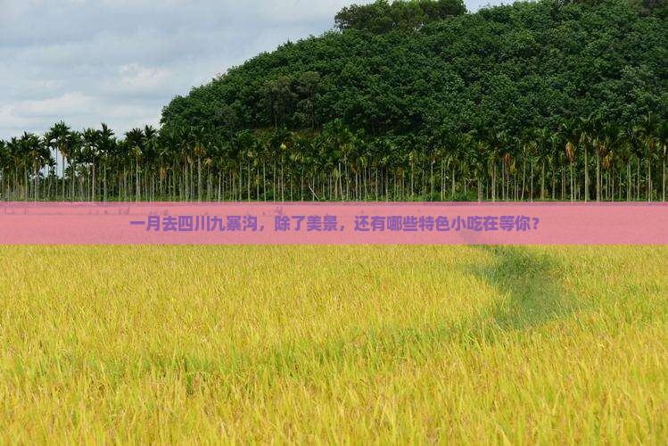 一月去四川九寨沟，除了美景，还有哪些特色小吃在等你？