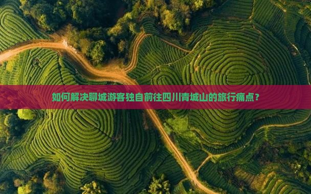 如何解决聊城游客独自前往四川青城山的旅行痛点？