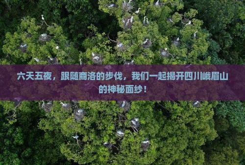 六天五夜，跟随商洛的步伐，我们一起揭开四川峨眉山的神秘面纱！
