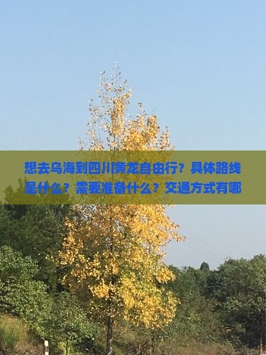 想去乌海到四川黄龙自由行？具体路线是什么？需要准备什么？交通方式有哪些？