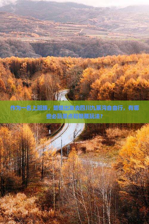 作为一名上班族，楚雄出发去四川九寨沟自由行，有哪些必玩景点和隐藏玩法？