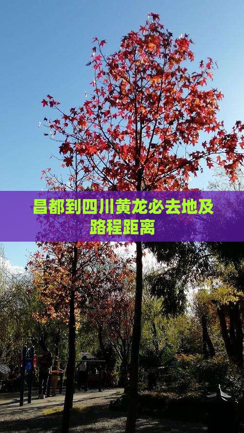 昌都到四川黄龙必去地及路程距离