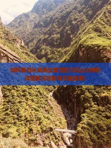 如何规划从阜新出发至四川乐山大佛的详细旅行攻略与交通指南？