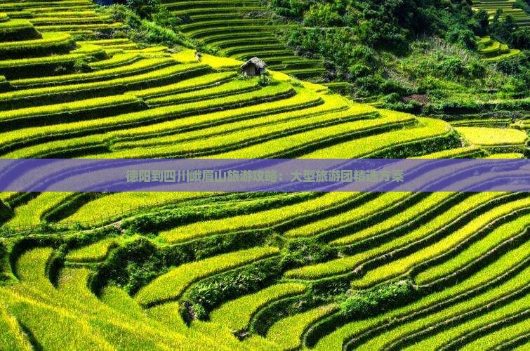 德阳到四川峨眉山大型旅游团