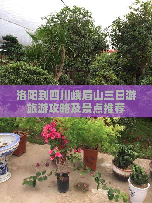 洛阳到四川峨眉山三日游