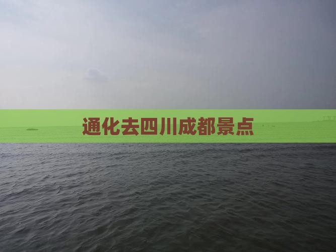通化去四川成都景点
