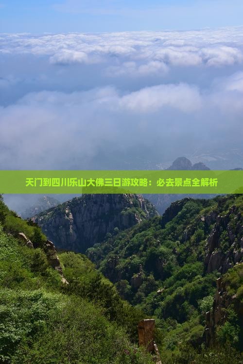 天门到四川乐山大佛三日游