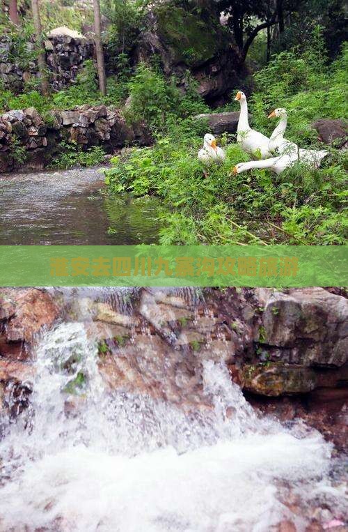 淮安去四川九寨沟大型旅游团