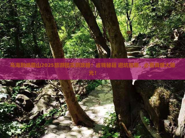 乌海到四川峨眉山大型旅游团