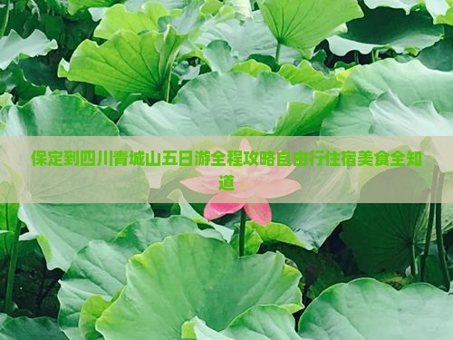 保定到四川青城山五日游