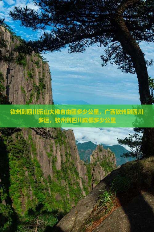 钦州到四川乐山大佛自由团