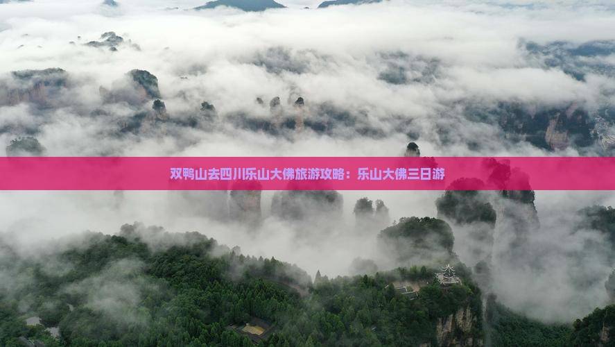 双鸭山去四川乐山大佛三日游
