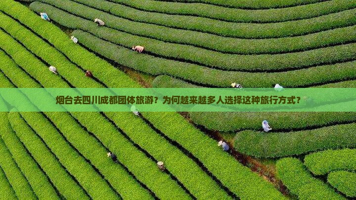 烟台去四川成都团体旅游