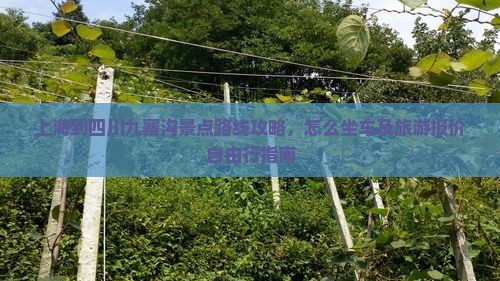 上海到四川九寨沟景点
