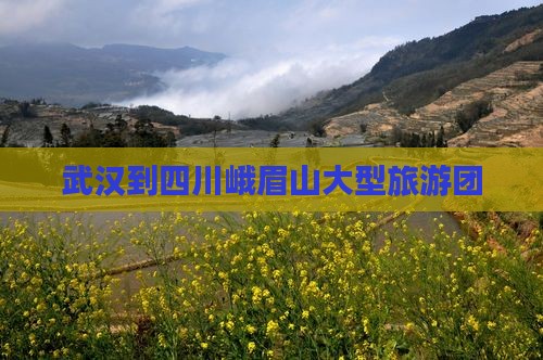 武汉到四川峨眉山大型旅游团