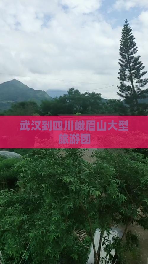 武汉到四川峨眉山大型旅游团
