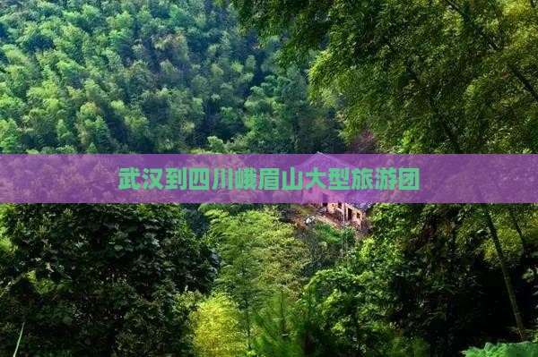 武汉到四川峨眉山大型旅游团