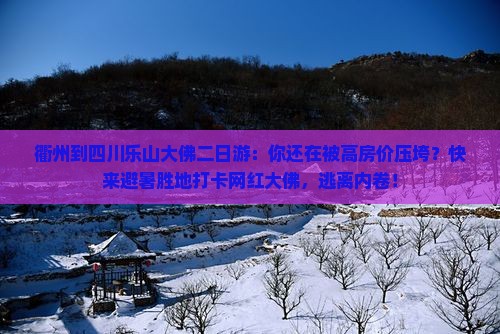 衢州到四川乐山大佛二日游