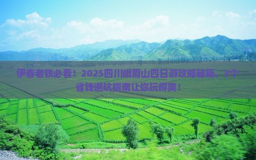 伊春到四川峨眉山四日游
