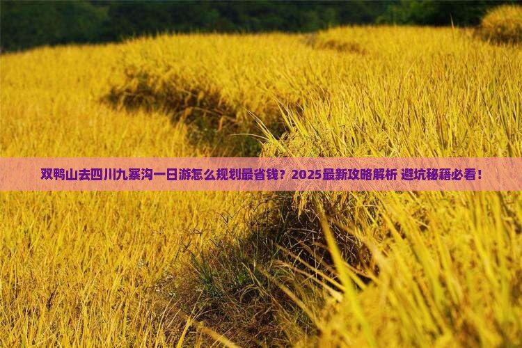 双鸭山去四川九寨沟一日