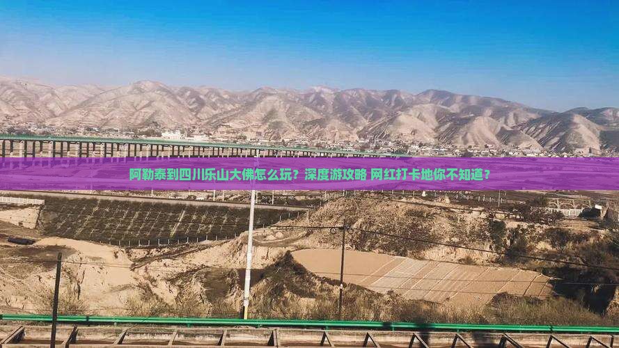 阿勒泰到四川乐山大佛旅行社