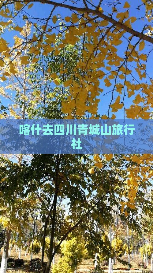 喀什去四川青城山旅行社