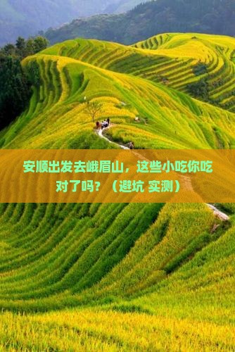 安顺到四川峨眉山旅游小吃