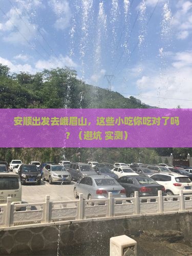 安顺到四川峨眉山旅游小吃