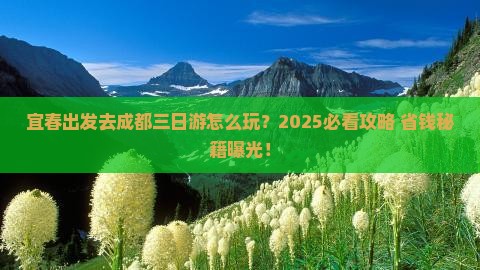 宜春去四川成都三日游