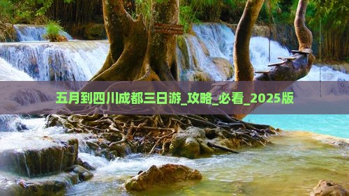 五月到四川成都三日游