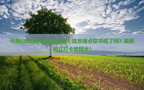 马鞍山到四川成都必去地