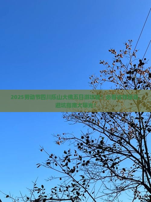 劳动节到四川乐山大佛五日游