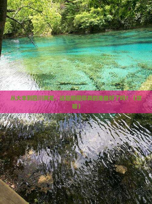 大丰到四川黄龙必去地