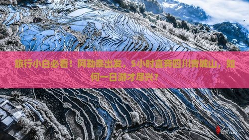 旅行小白必看！阿勒泰出发，5小时直奔四川青城山，如何一日游才尽兴？