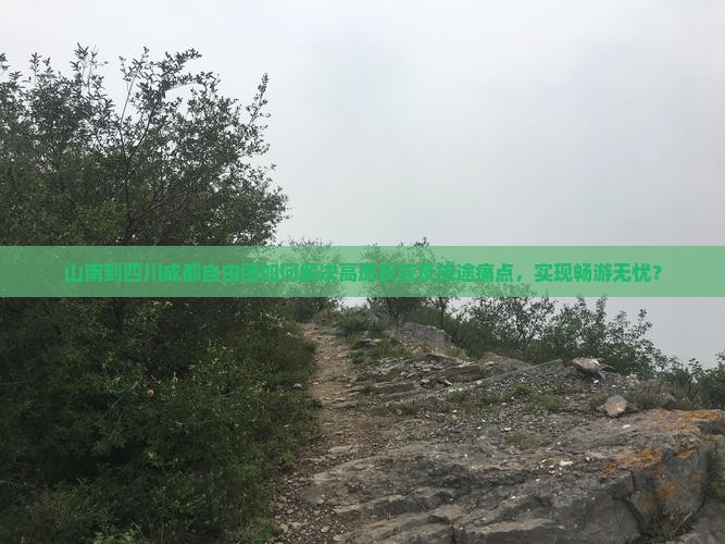 山南到四川成都自由团如何解决高原反应及旅途痛点，实现畅游无忧？