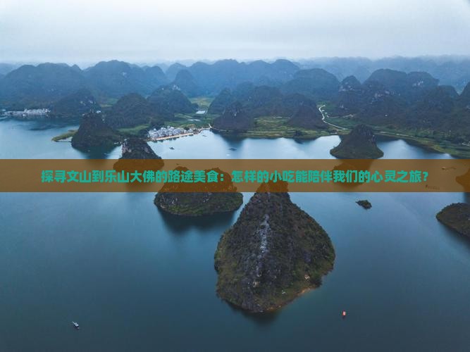 探寻文山到乐山大佛的路途美食：怎样的小吃能陪伴我们的心灵之旅？