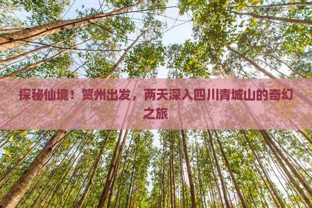 探秘仙境！贺州出发，两天深入四川青城山的奇幻之旅