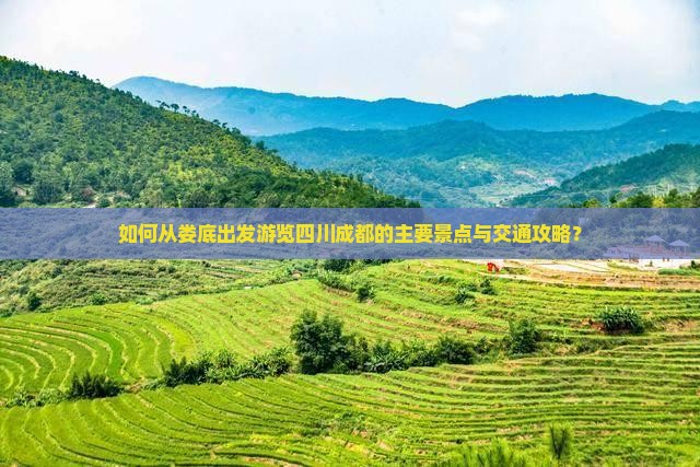 如何从娄底出发游览四川成都的主要景点与交通攻略？
