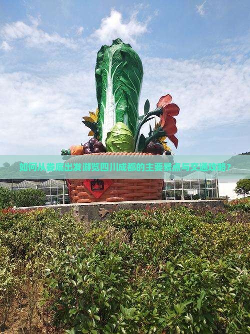 如何从娄底出发游览四川成都的主要景点与交通攻略？